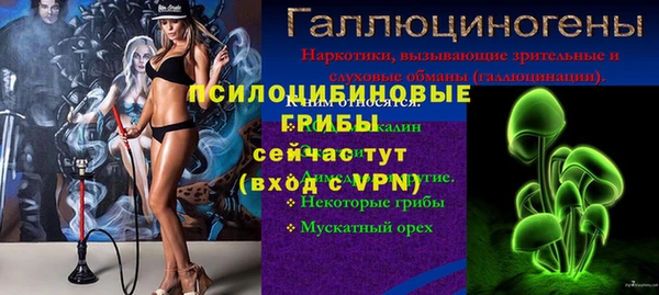 ешки Белокуриха